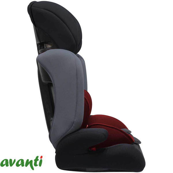ELEVADORA AVANTI EXIMIA | 9 A 36 KG