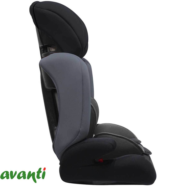 ELEVADORA AVANTI EXIMIA | 9 A 36 KG