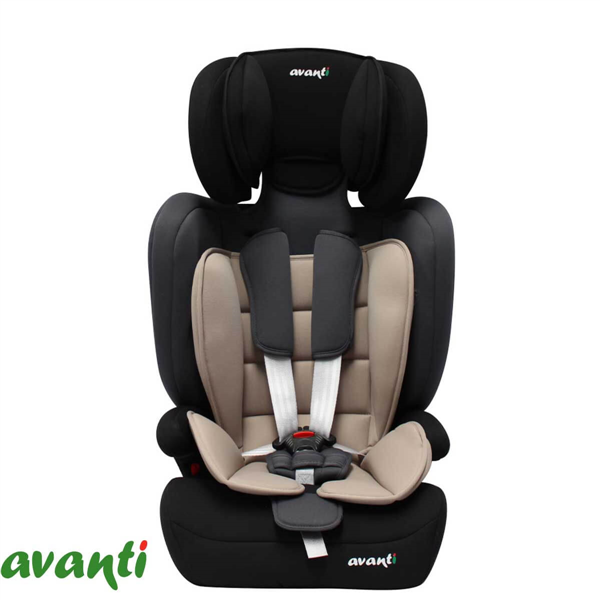 ELEVADORA AVANTI EXIMIA | 9 A 36 KG