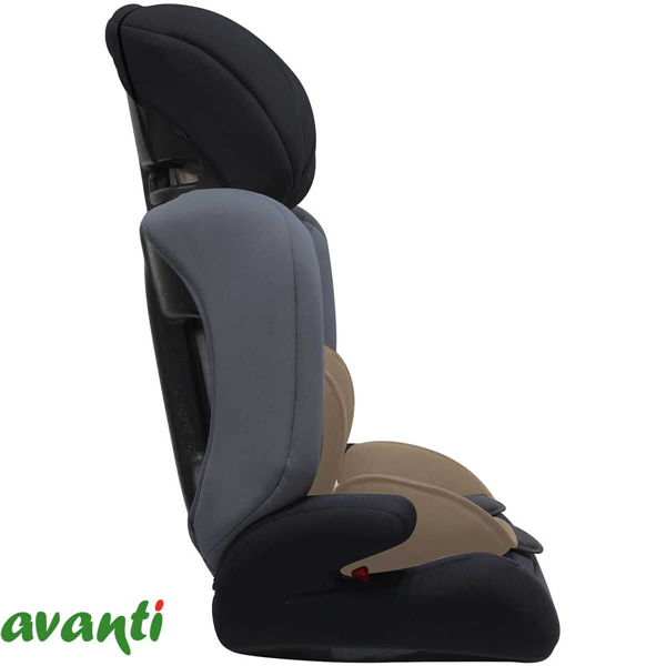ELEVADORA AVANTI EXIMIA | 9 A 36 KG