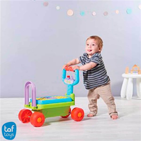 CAMINADOR 4 EN 1 DEVELOPMENTAL WALKER